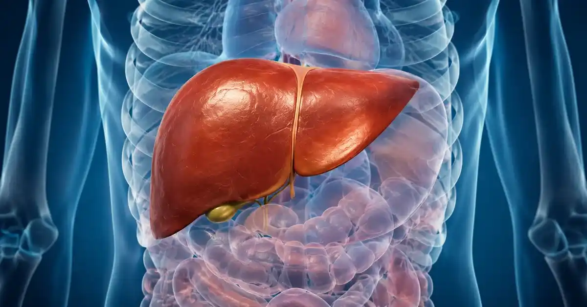 Liver Transplant in Turkey: Can Function Return