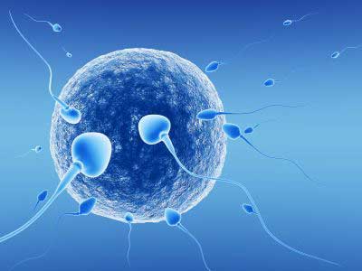Latest Male Infertility Treatments: From Medications to Innovative Techniques