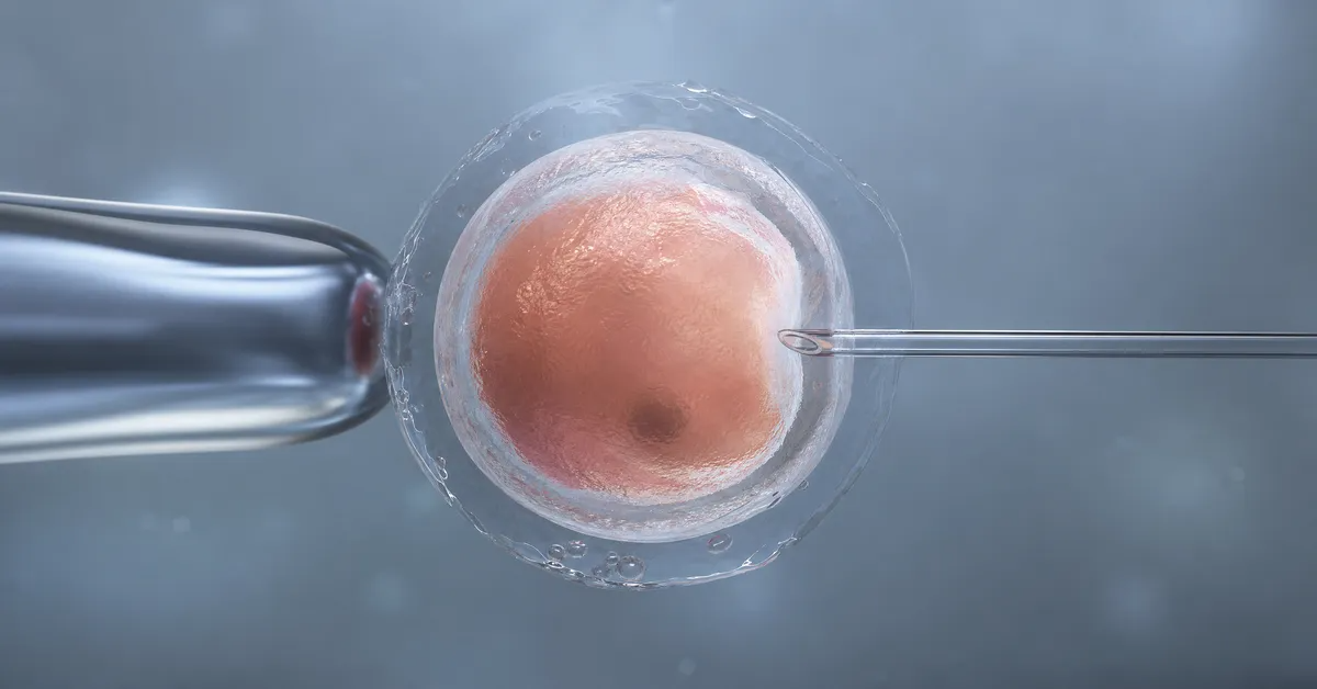IVF After 50: Pregnancy Chances and Important Advice