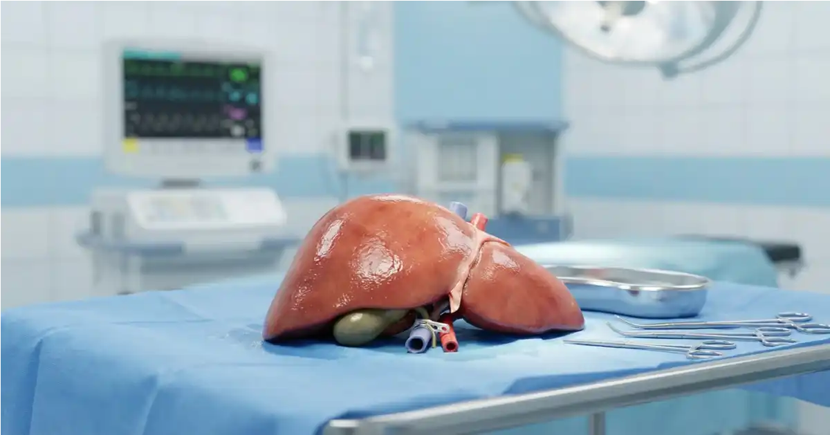 Whole Liver Transplant